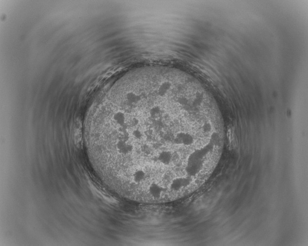 X0000088390963200706121206