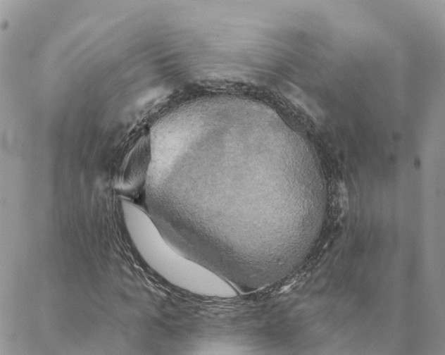 X0000088390965200706121206