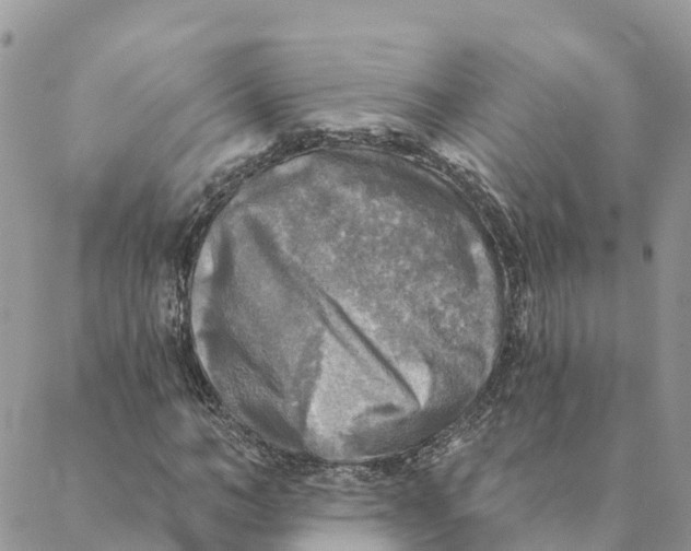 X0000088390966200706121206