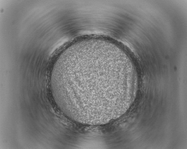 X0000088390967200706121206