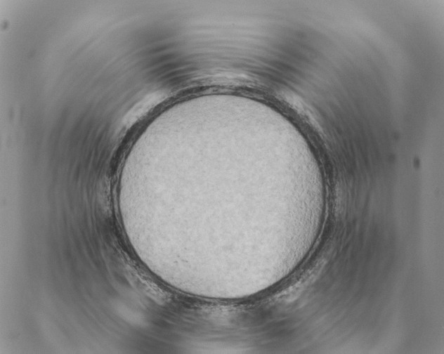 X0000088390970200706121206