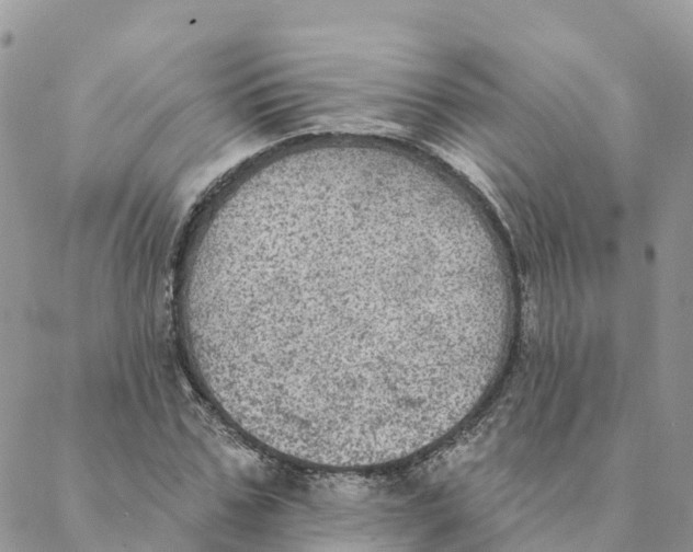 X0000088390971200706121206