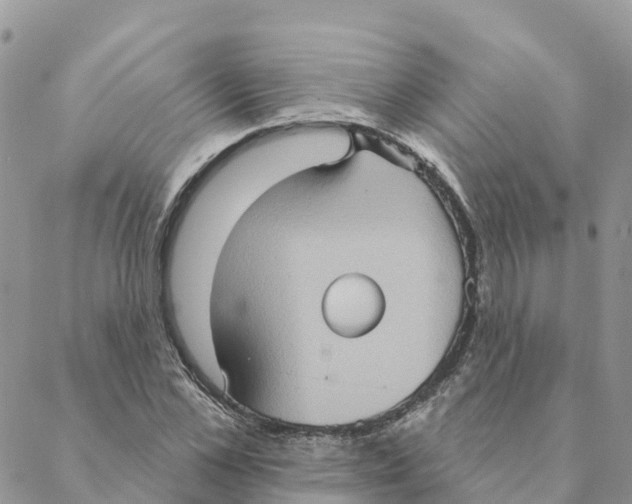 X0000088390973200706121206