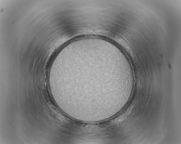 X0000088390974200706121206