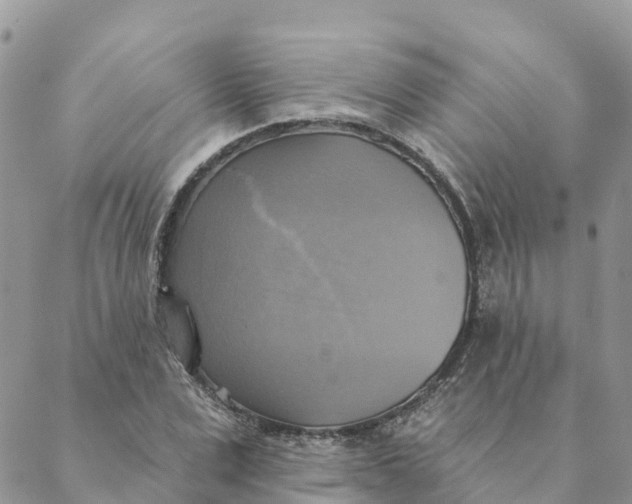 X0000088390975200706121206