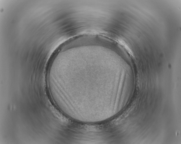 X0000088390976200706121206