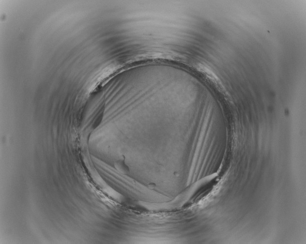 X0000088390977200706121206