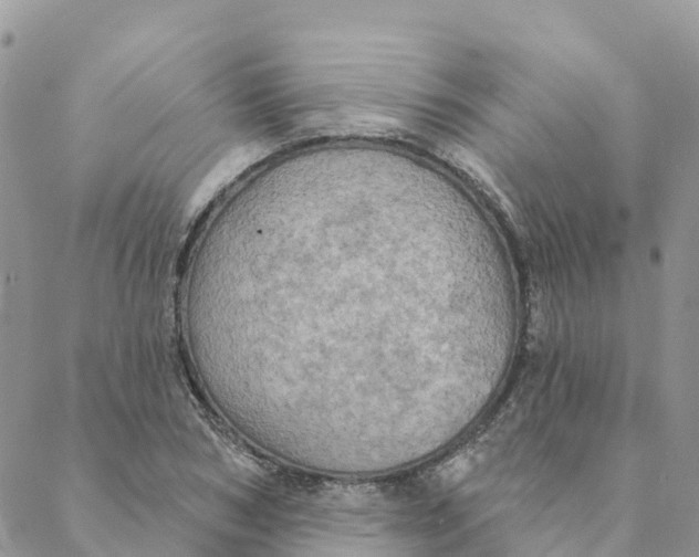 X0000088390978200706121206