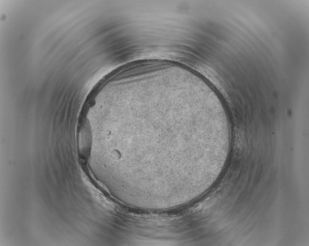 X0000088390980200706121206