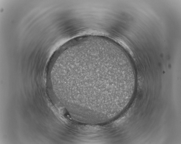 X0000088390981200706121206