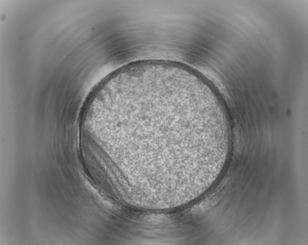 X0000088390982200706121206