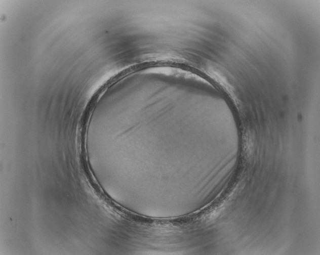 X0000088390983200706121205