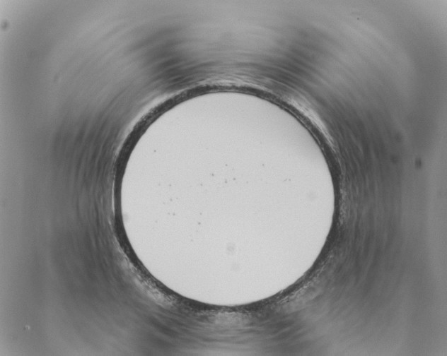 X0000088390984200706121205