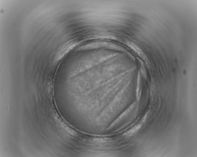 X0000088390985200706121205