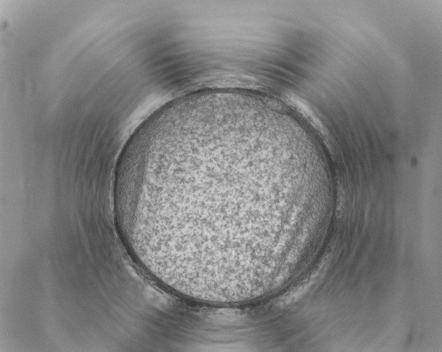 X0000088390986200706121205