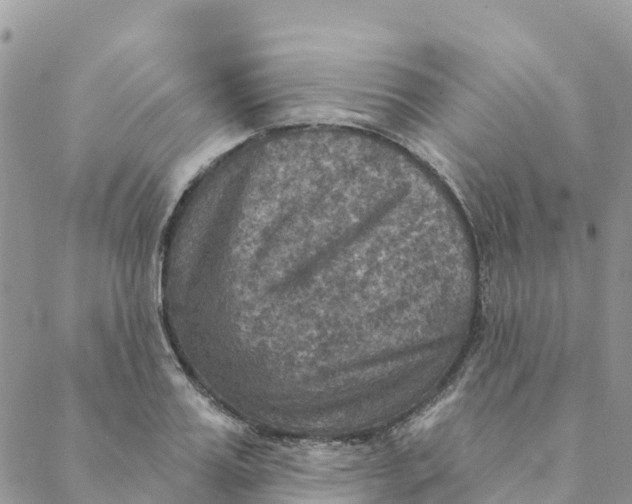 X0000088390987200706121205