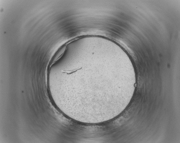 X0000088390988200706121205