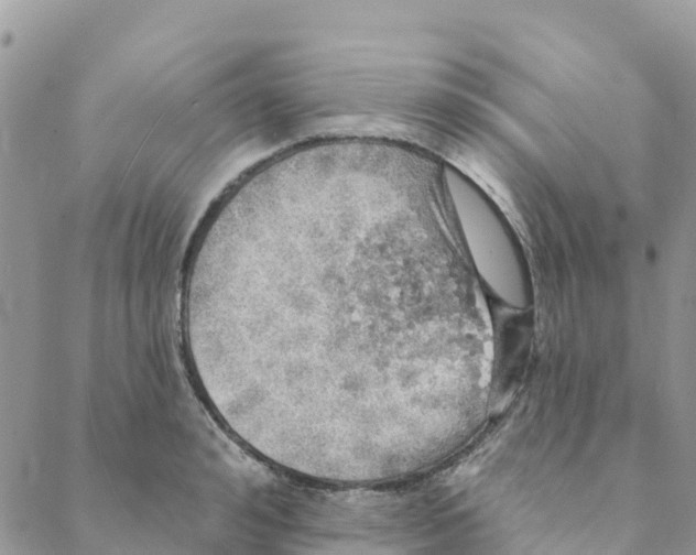 X0000088390992200706121205