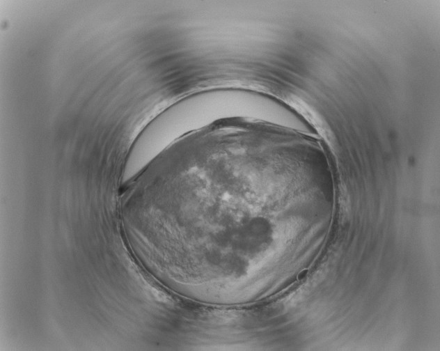 X0000088390993200706121205