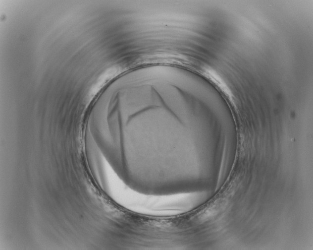 X0000088390994200706121205