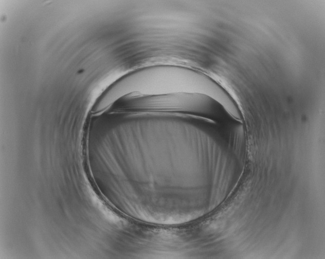 X0000088390995200706121205