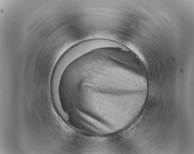 X0000088390996200706121205