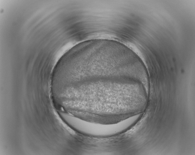 X0000088390997200706121205