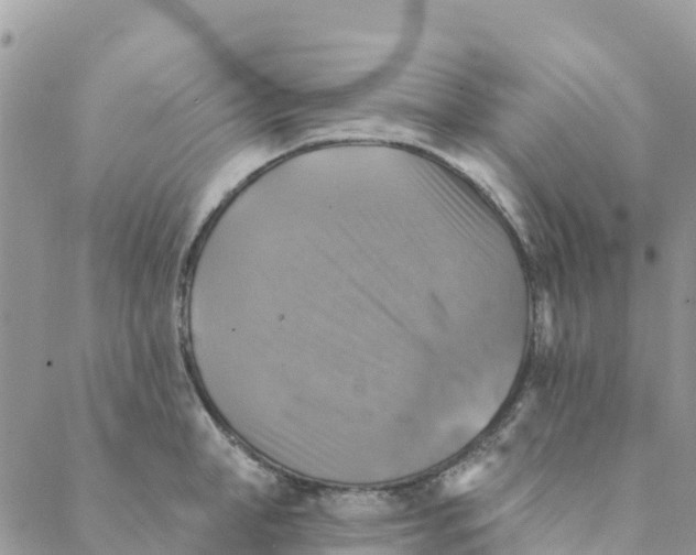 X0000088390998200706121205