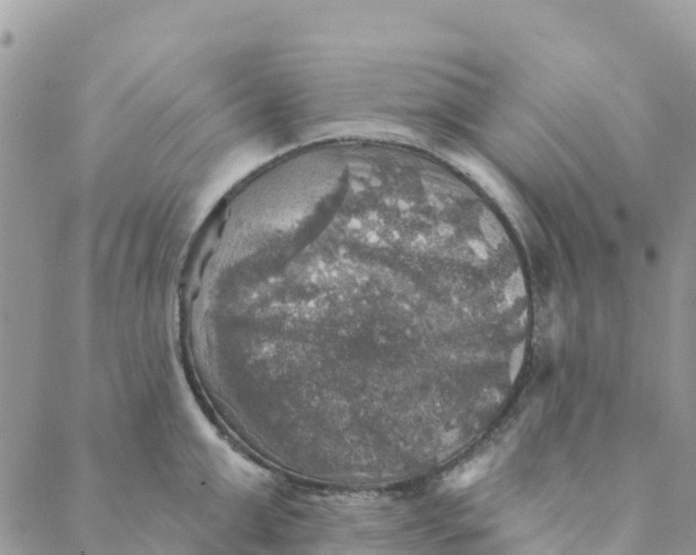 X0000088390999200706121205