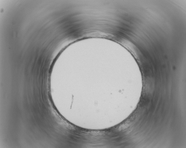 X0000088391000200706121205