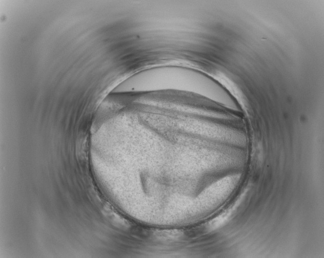 X0000088391001200706121205