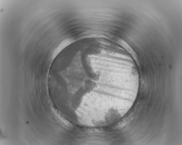 X0000088391002200706121205