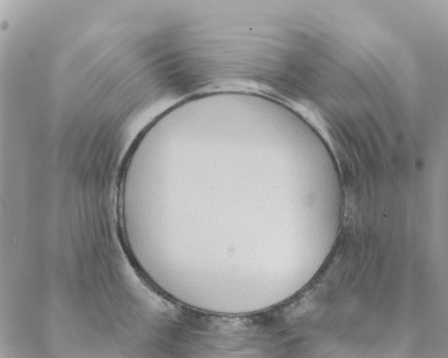 X0000088391003200706121205