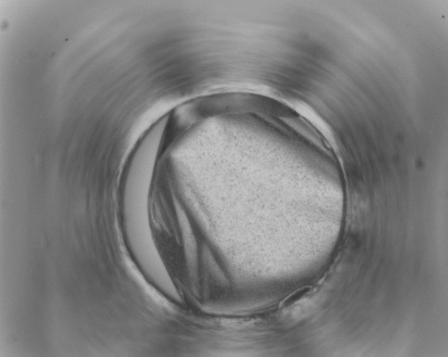 X0000088391005200706121205