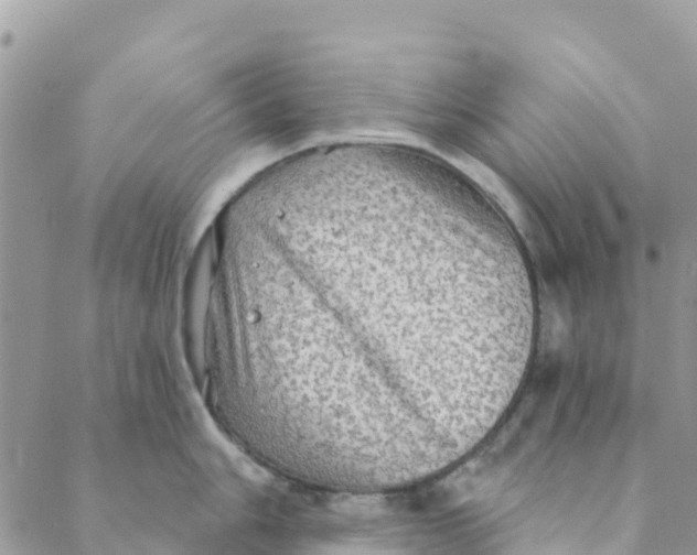 X0000088391006200706121205