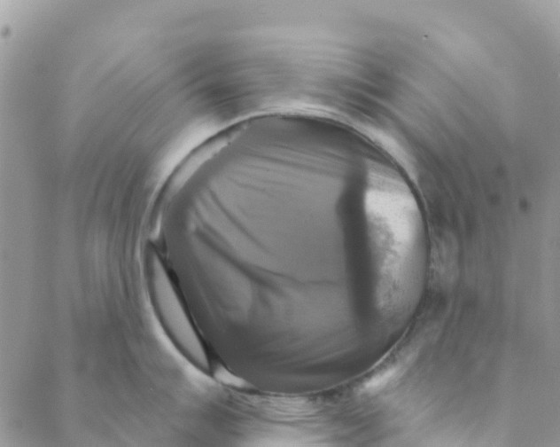 X0000088391007200706121205