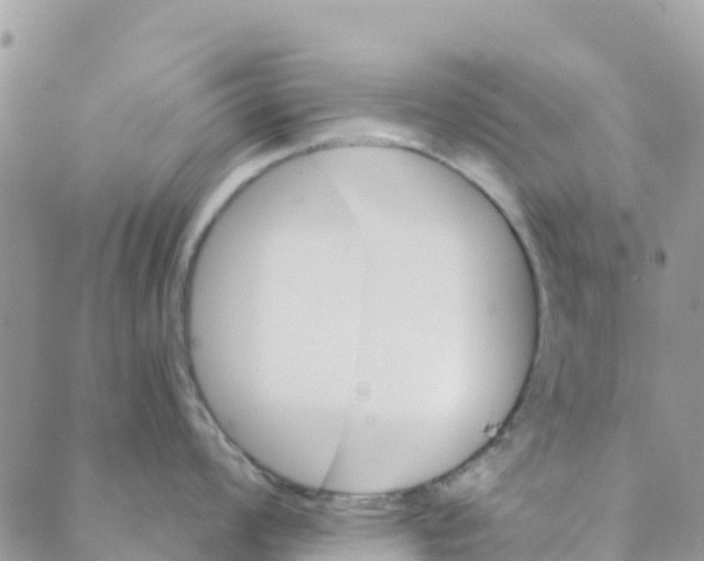 X0000088391008200706121205