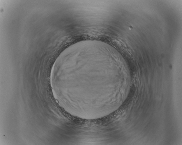 X0000088391009200706121204