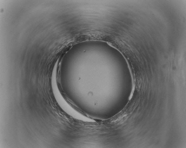 X0000088391010200706121204