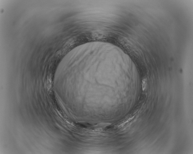 X0000088391011200706121204