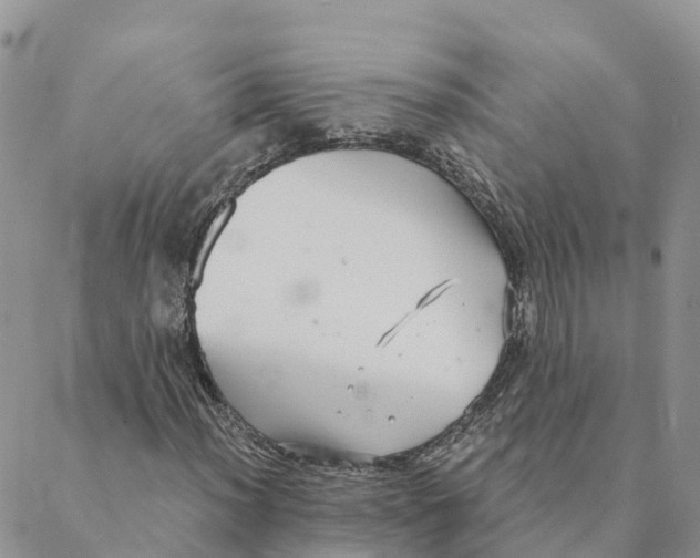 X0000088391012200706121204