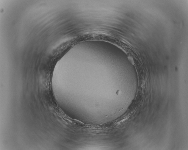 X0000088391014200706121204