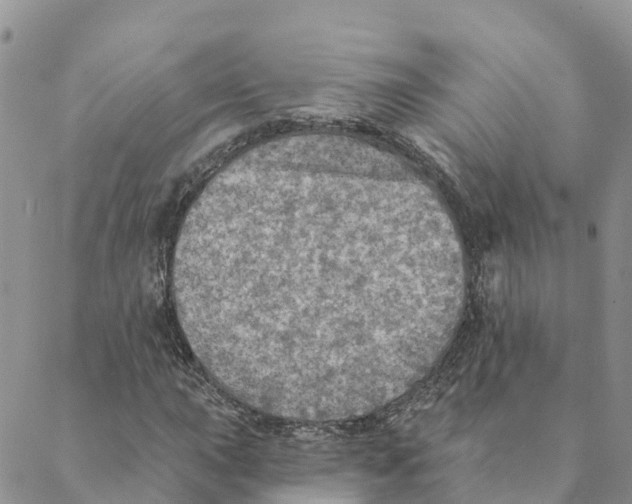 X0000088391015200706121204