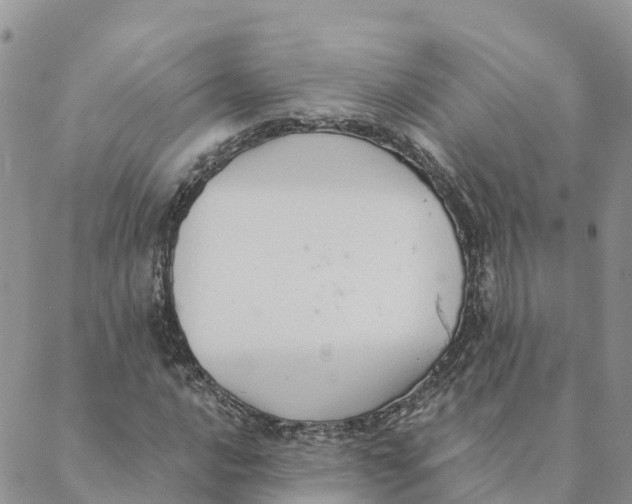 X0000088391016200706121204