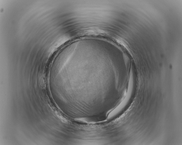 X0000088391018200706121204