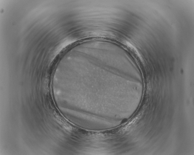 X0000088391019200706121204