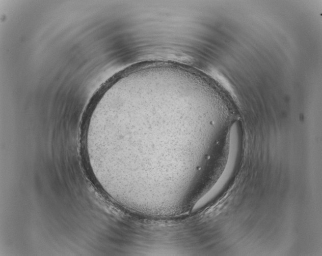 X0000088391020200706121204