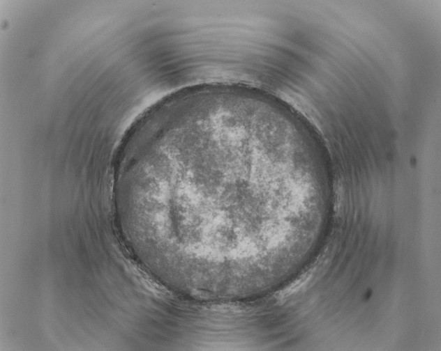 X0000088391021200706121204