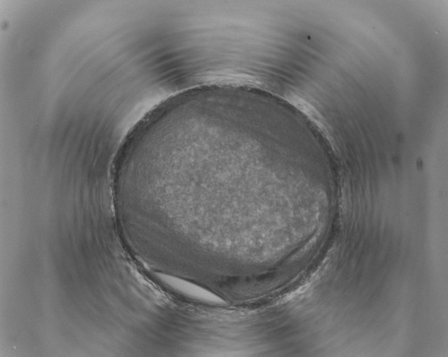 X0000088391022200706121205