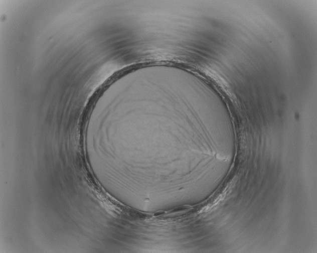 X0000088391023200706121205